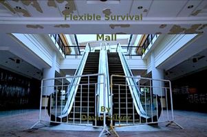 Cover of Flexible Survival - Mall by David Silver