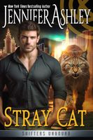 Stray Cat