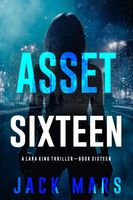 Asset Sixteen