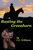 eBook edition cover