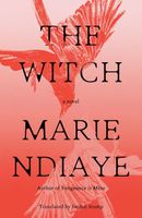 Marie Ndiaye's Latest Book