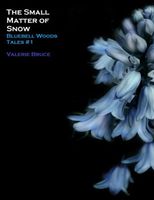 Cover of The Small Matter of Snow by Valerie Bruce