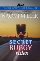 Secret Buggy Rides