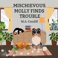 Paperback edition cover
