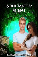 eBook edition cover